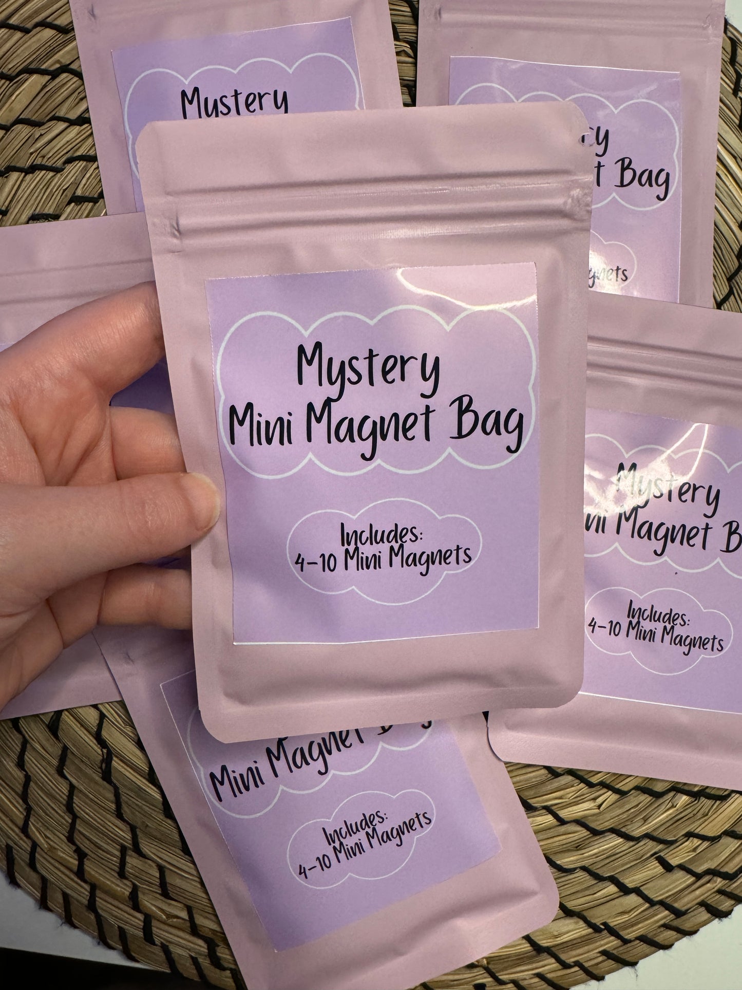 Mini Magnets Mystery Bag